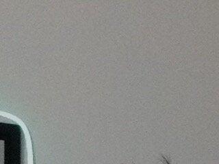 alejo greyx