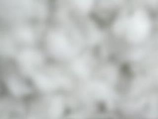 allis0n ik
