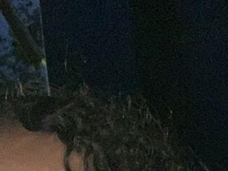 alondraandsweet1