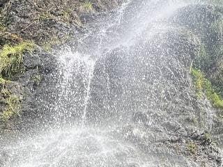 amarantaa8