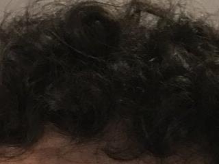 animary69