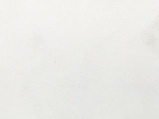 BigCock Antonella TS