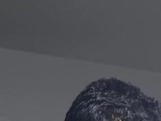 gabriel boyflex