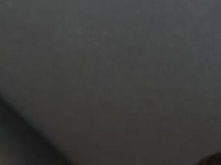 honeyann08