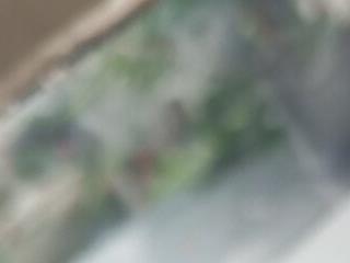 HYA2740