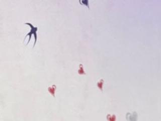 Keilathompson10