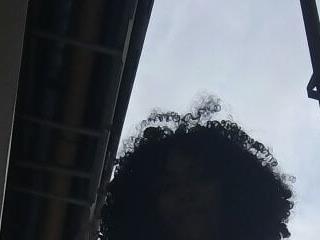 lianisrose
