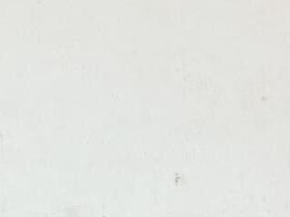 SirDravion