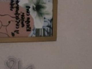 soy kylebrown